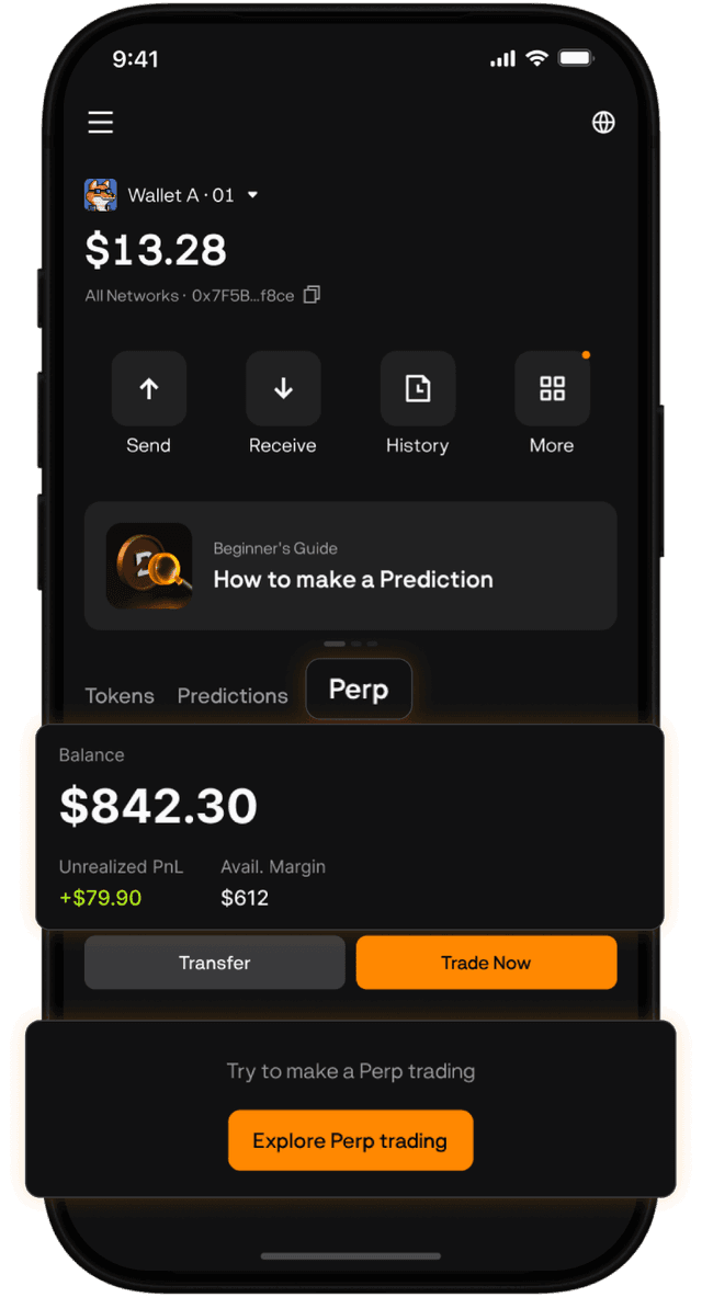 BloFin Wallet home screen showing Perp tab