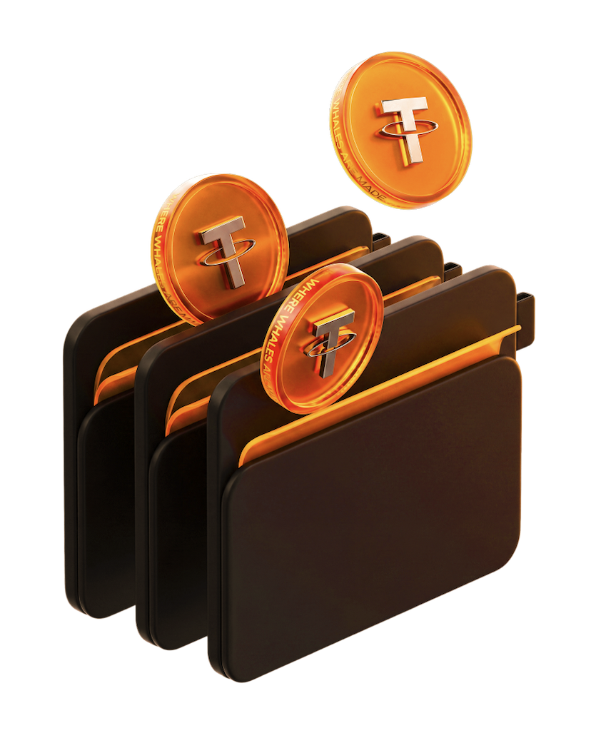 3D wallet with coins illustration
