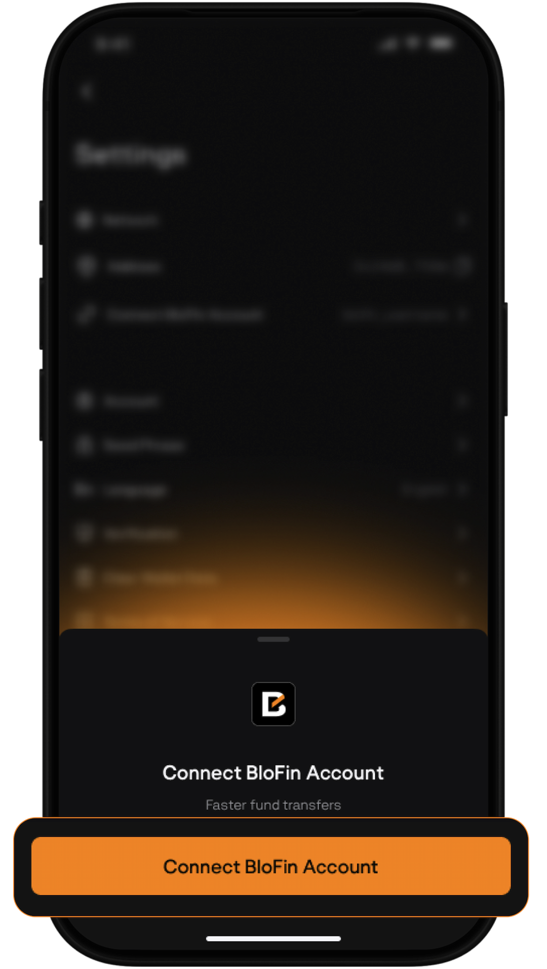 Step 2 - Connect BloFin Account screen